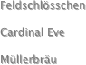 Feldschlösschen

Cardinal Eve

Müllerbräu